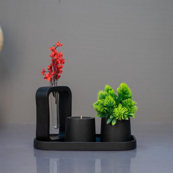 Nature's Nook - Adds a Touch of Style to Your Living Room or Office