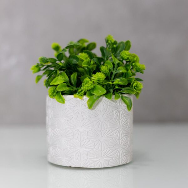 Mini Greens - Reflection - Planter that adds Greenery with Style