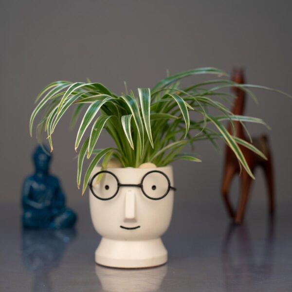 Speckled Smiles - Unique Face Planters With Specs For Your Plants