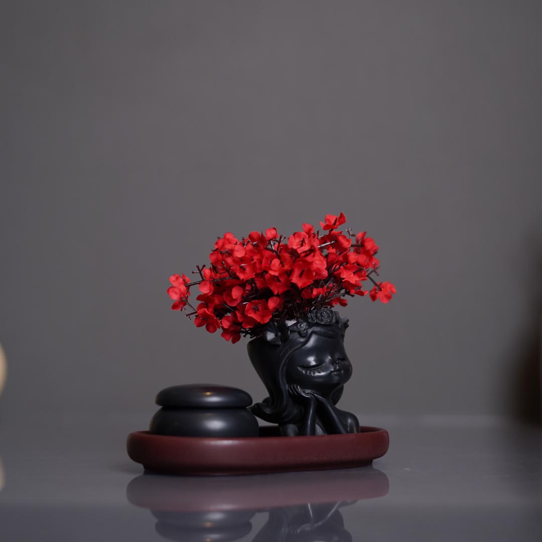 correa new products - 27 1.2 1